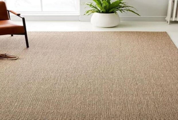 Do you know the Truth about Sisal Carpets and Why You Should Care